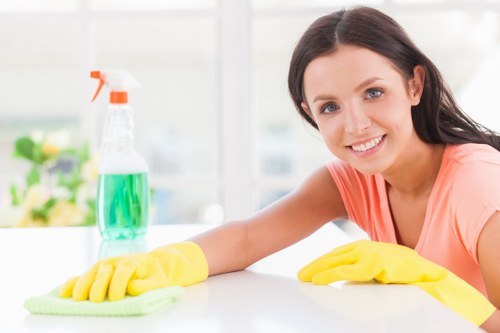 Professional carpet cleaning in a bright living room