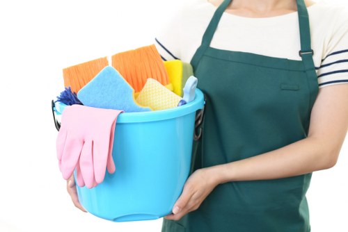 Professional upholstery cleaning for a living room sofa