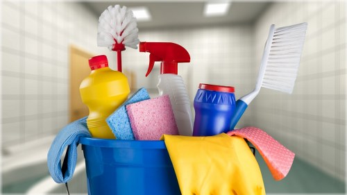 Move in cleaning of a bright empty living room