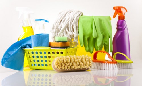 Preparing supplies for move in cleaning in a new home