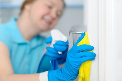 Detailed post-construction cleaning of kitchen and glass surfaces