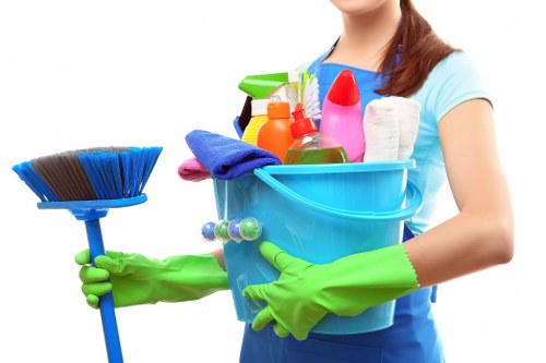 Professional domestic cleaning of a bright living room
