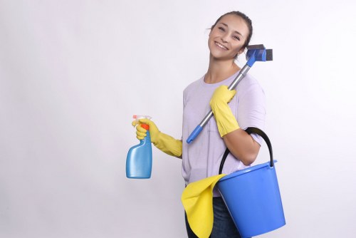 Professional move in cleaning of a modern interior