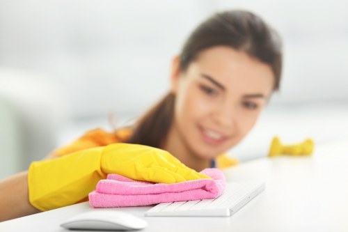 Cleaner applying specialist product inside a kitchen oven