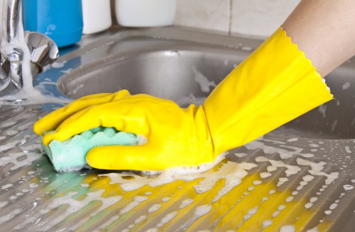 Kitchen oven maintenance and deep cleaning results