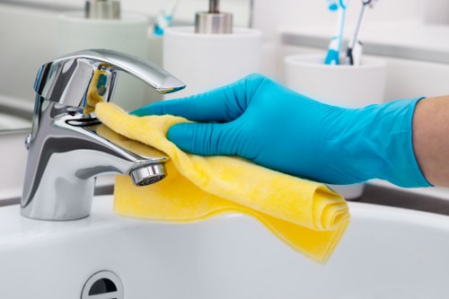 Professional-style deep cleaning in a bright kitchen